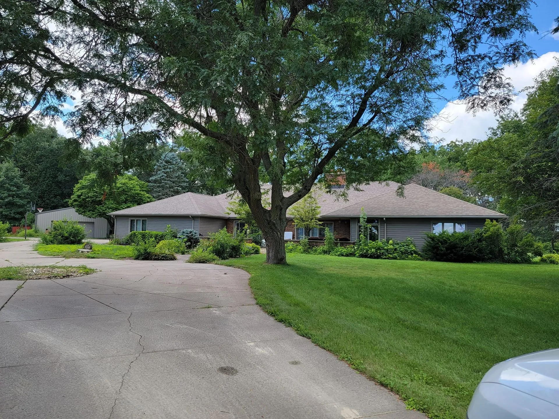 Ranch home with a new roof at the end of a tree-lined driveway